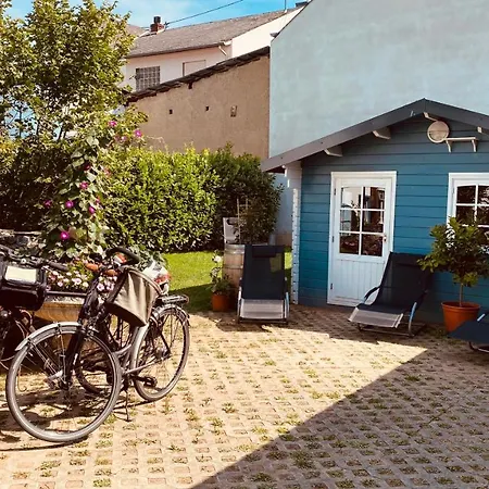 Moselstern-hotel 