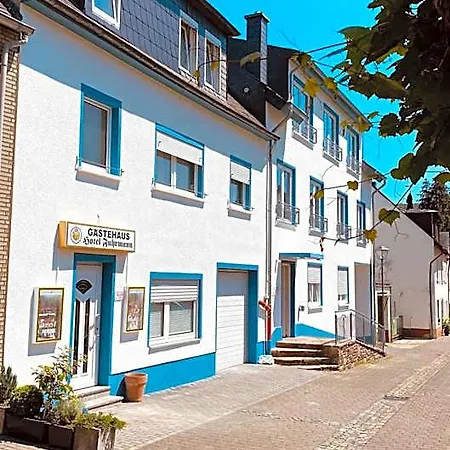 Moselstern-hotel 