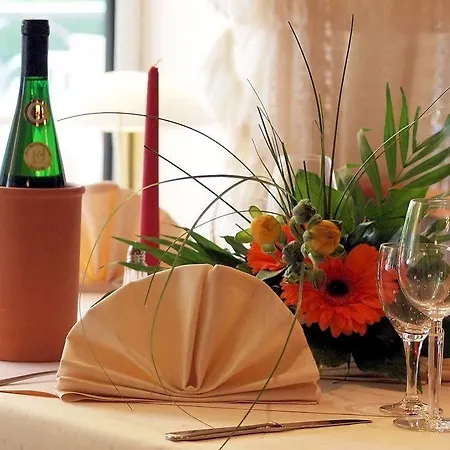 Hotel Moselstern-hotel 