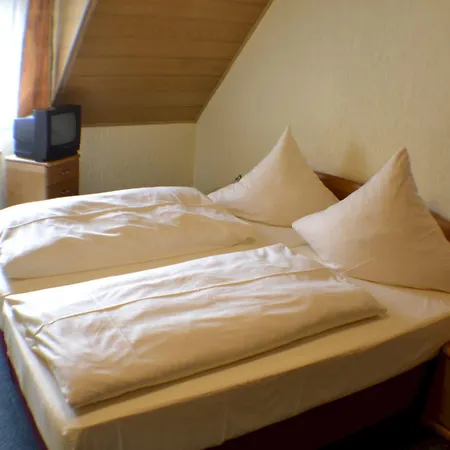 Szálloda Moselstern-hotel 