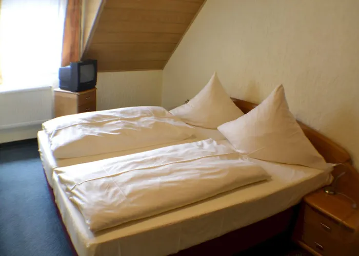 Hotel Moselstern-hotel 